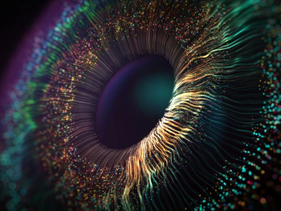 eye